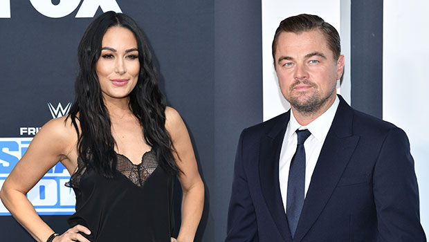 Brie Bella Reveals She Slid Into Leonardo DiCaprio’s DMs & Tried To Get His Attention