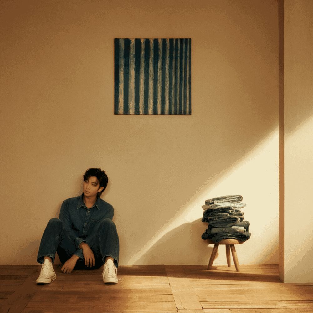 Stanning BTS: RM’s Indigo Album Review